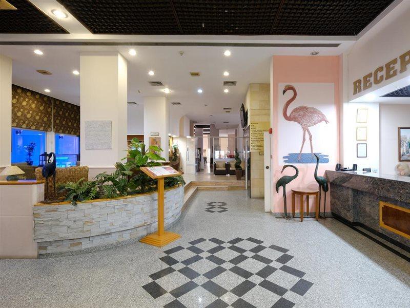 Flamingo Beach Hotel Larnaca Eksteriør billede